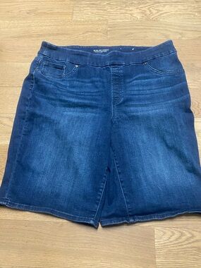 Chico's Dark Blue Denim Jean Shorts